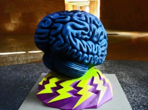 Hjernen har det godt med mental og fysiks træning og med flere sprog. Foto: MorgueFile.com