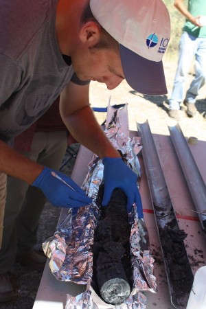 Der er bakterier i disse klipper, som er hentet op fra flere kilometers dybde og fra højt tryk og temperatur. Foto: Michigan State University