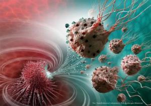 Nanorobotter opsøger og dræber kræft