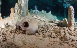 Et forhistorisk menneskeligt skellet fundet i Chan Hol hulen nær Tulúm på Yucatán halvøen. Foto: Tom Poole, Liquid Junge Lab