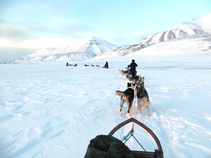Med hundeslæde ud over en af Svalbards frosne fjorde.